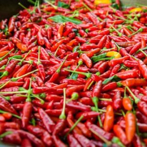 Buy African bird eye Chilies