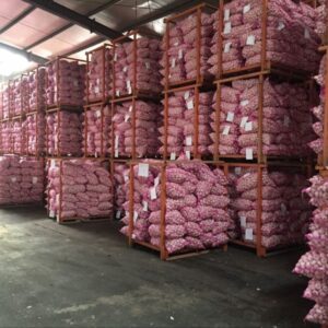 Buy Garlic in Bulk Online