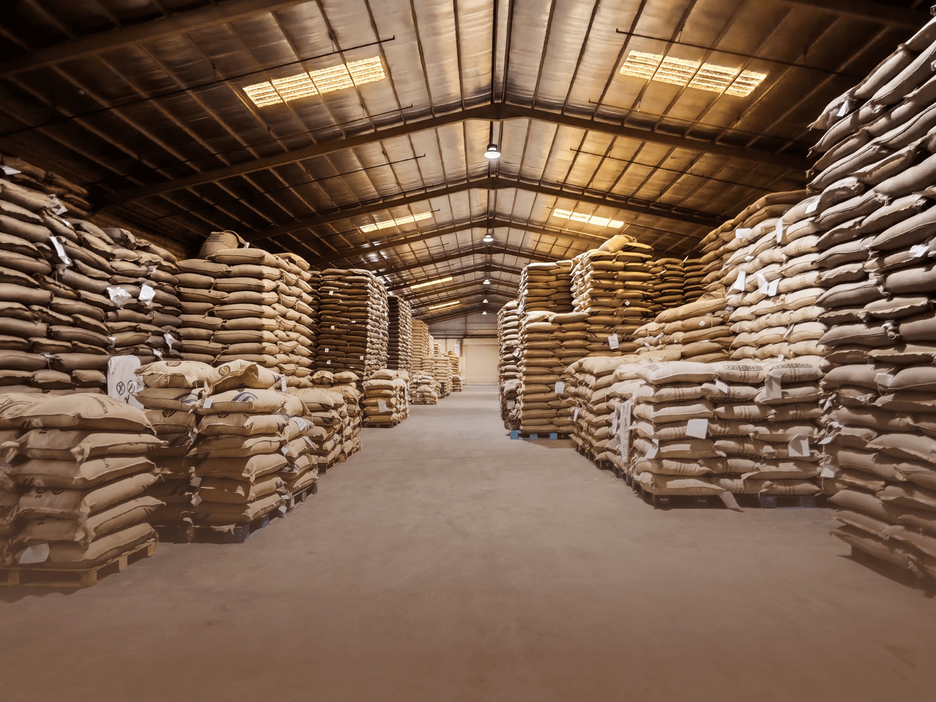 Buy Roasted Coffee Beans Online - Image 3