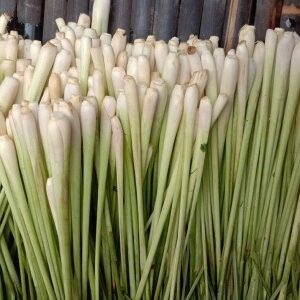 Buy Lemongrass in Bulk Online