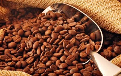 Buy Roasted Coffee Beans Online