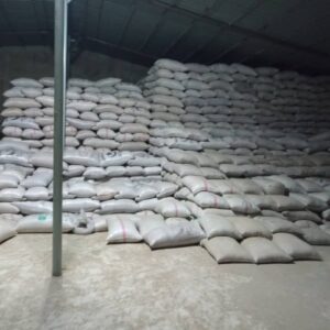 Buy Bulk Castor (Ricinus) Seeds