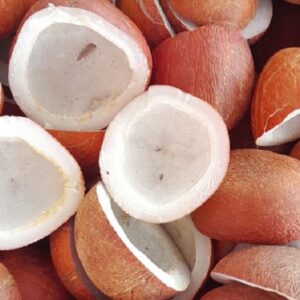 Buy Bulk Coconut copra Online