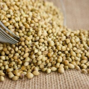 Buy Bulk Coriander seeds