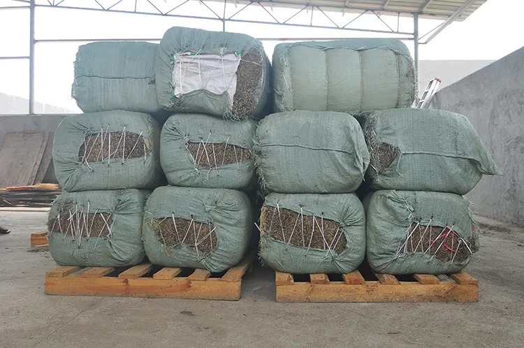 Buy Bulk Nutmeg In Tanzania - Image 2