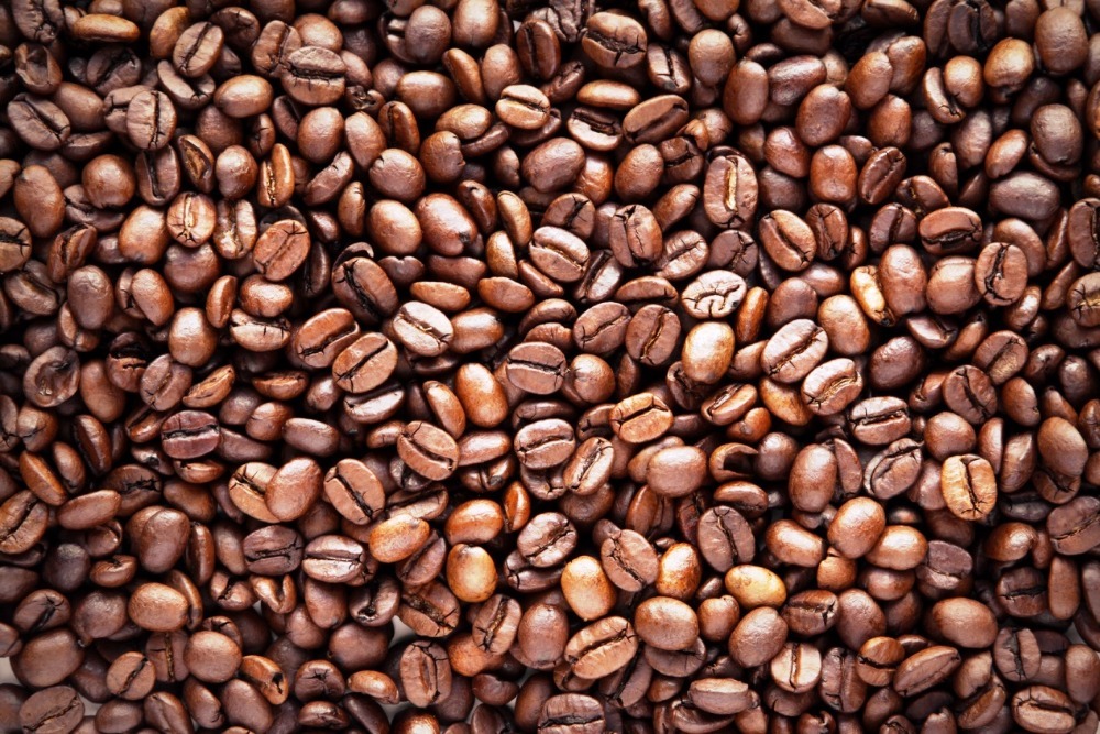 Buy Bulk Robusta Coffee Online
