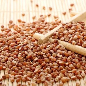 Buy Sorghum in Tanzania