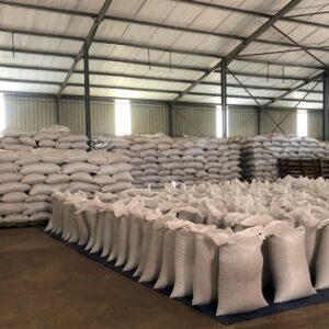 Buy Sesame seeds in Bulk