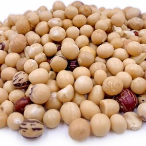 Buy bulk Bambara Groundnuts In Tanzania