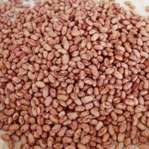 Buy red mottled Pinto Beans