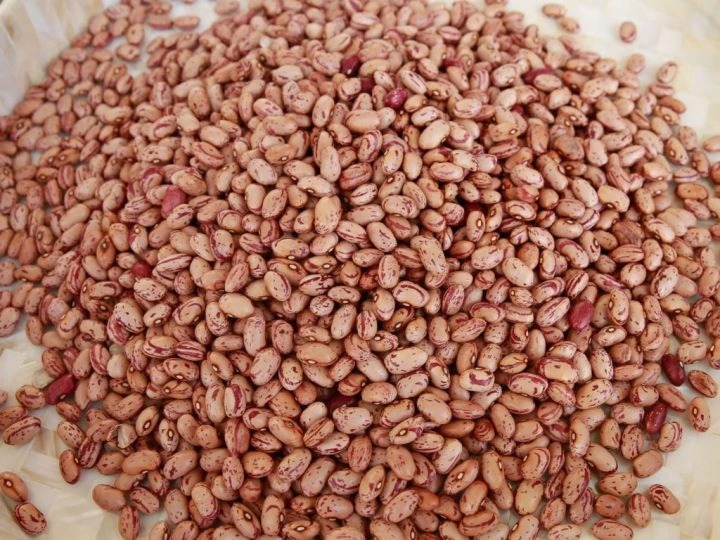 Buy red mottled Pinto Beans - Image 2