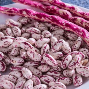 Buy red mottled Pinto Beans