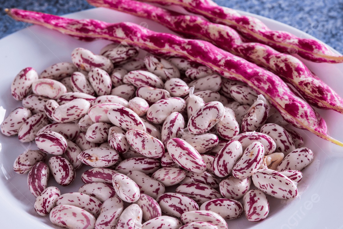 Buy red mottled Pinto Beans