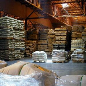 Buy Bulk Robusta Coffee Online