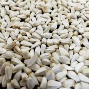 Buy Bulk Safflower seeds Onlin
