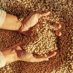 Buy Soybeans In Bulk Online In East Africa