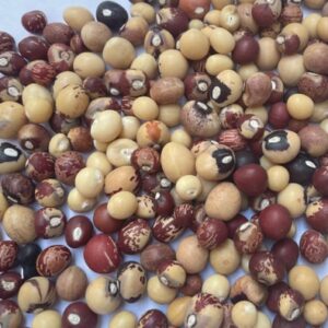 Buy bulk Bambara Groundnuts In Tanzania