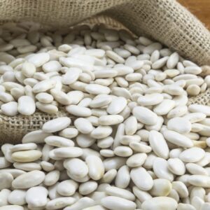 Buy Bulk Kidney beans Online