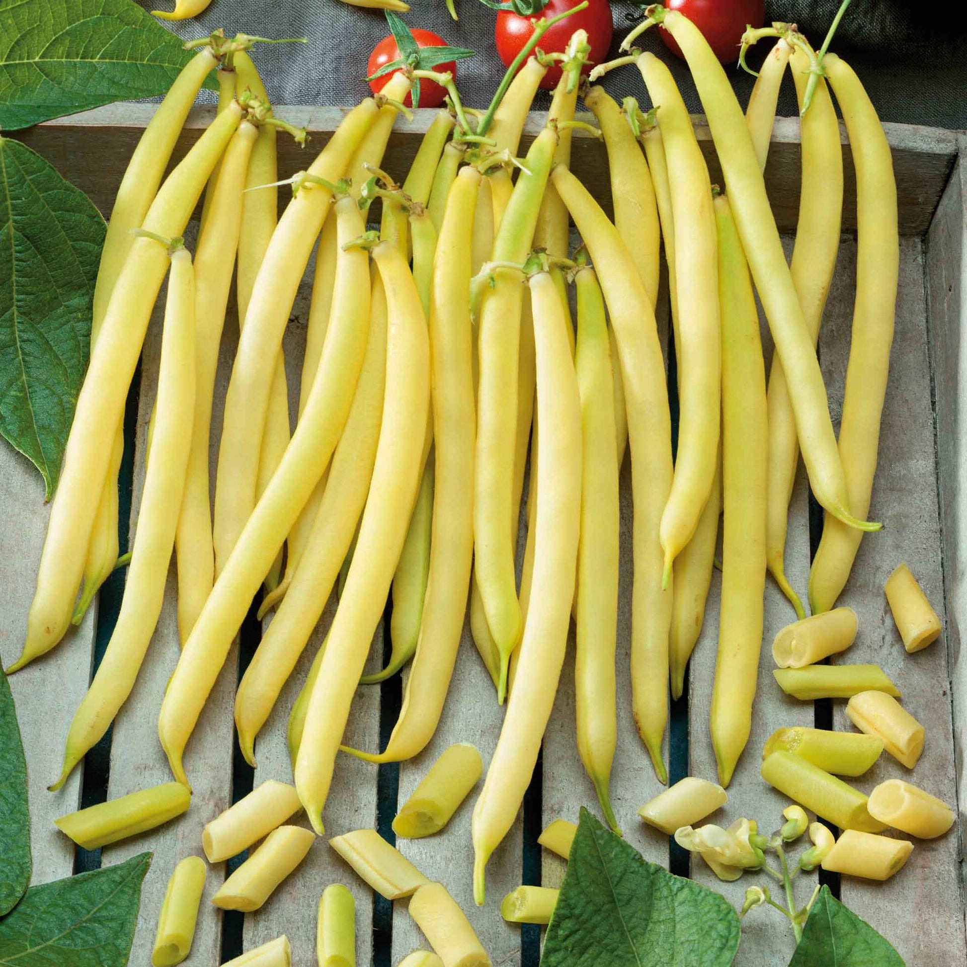 Buy Yellow beans in Bulk - Image 2