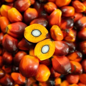 Buy Bulk Palm fruit/kernel