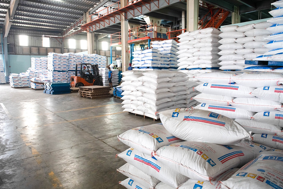 Buy Bulk Soybeans Online - Image 2