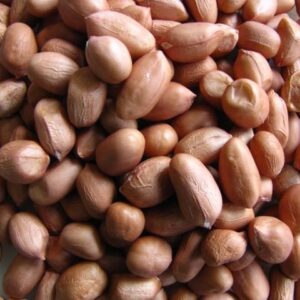 Buy Groundnuts (Peanuts)