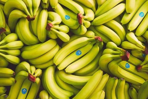 Buy Wholesale Bananas Online