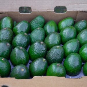 Buy Avocados in bulk Online Africa