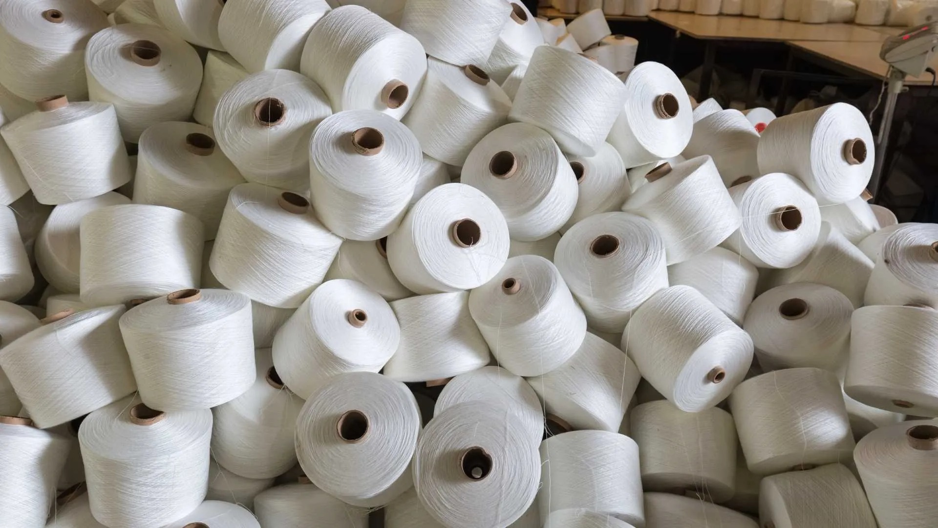Buy Carded or Combed Cotton in Africa - Image 2