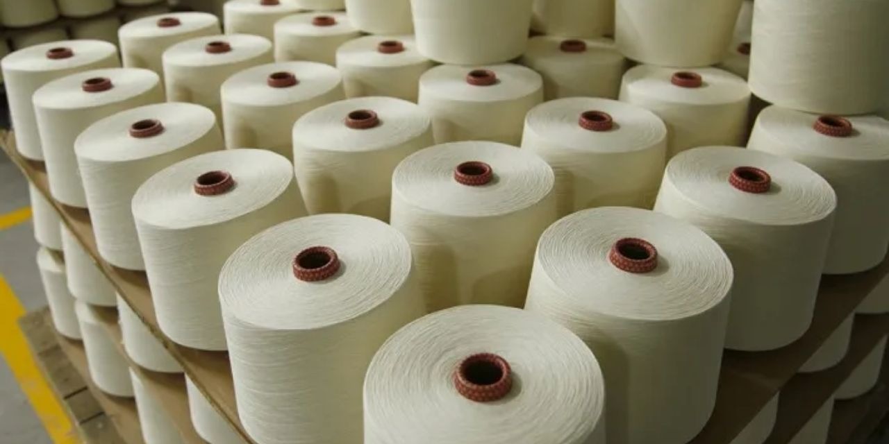 Buy Carded or Combed Cotton in Africa - Image 3