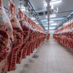 Buy Cattle Meat in bulk From Trusted East Africa Supplier