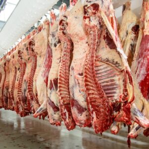 Buy Cattle Meat in bulk From Trusted East Africa Supplier