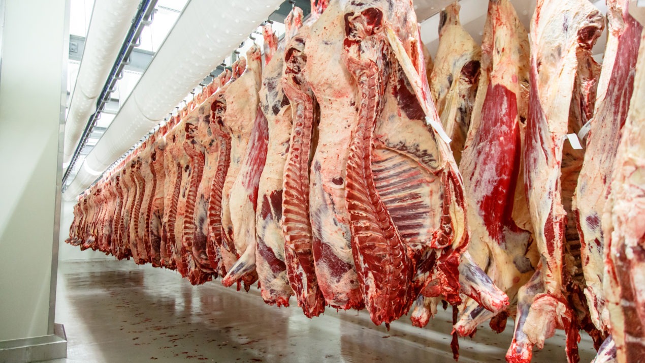 Buy Cattle Meat in bulk From Trusted East Africa Supplier - Image 2
