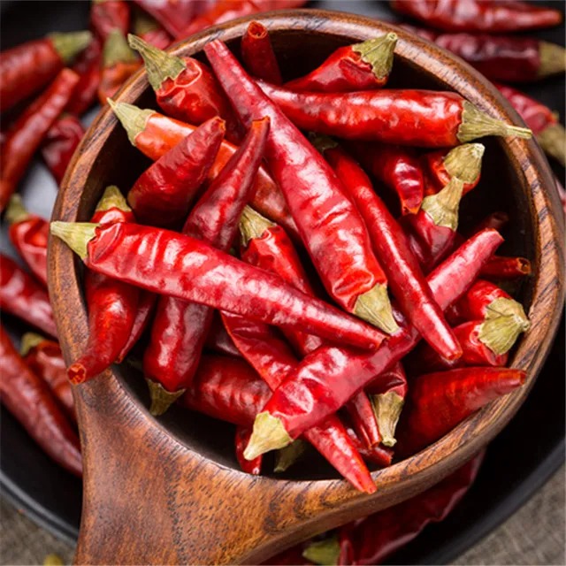 Buy Chili pepper in Bulk Onlin