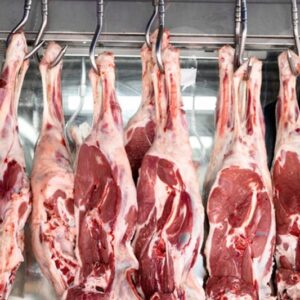 Buy Wholesale Goat Meat
