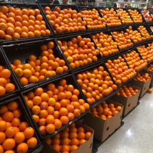 Buy Wholesale Fresh Oranges