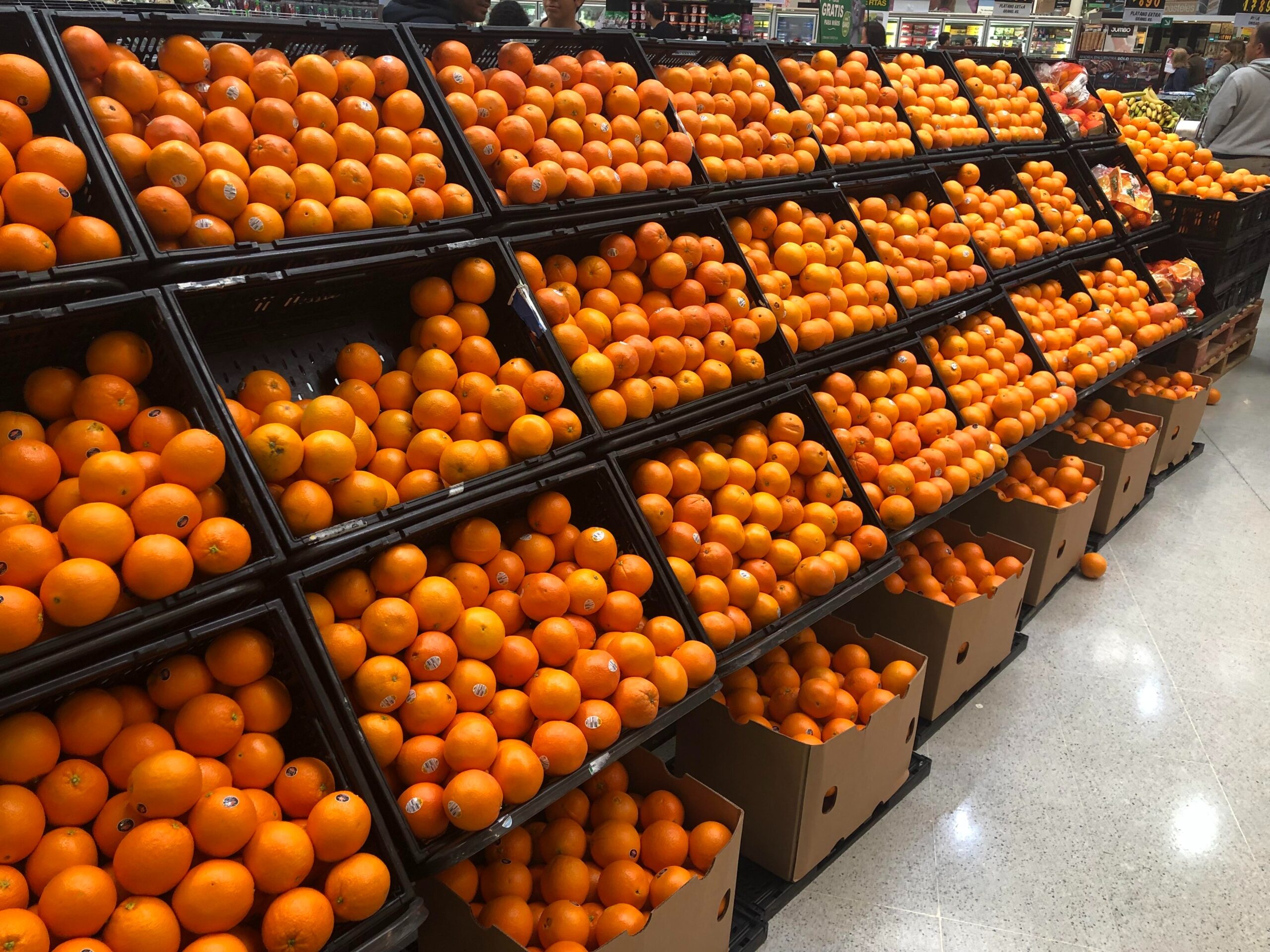 Buy Wholesale Fresh Oranges