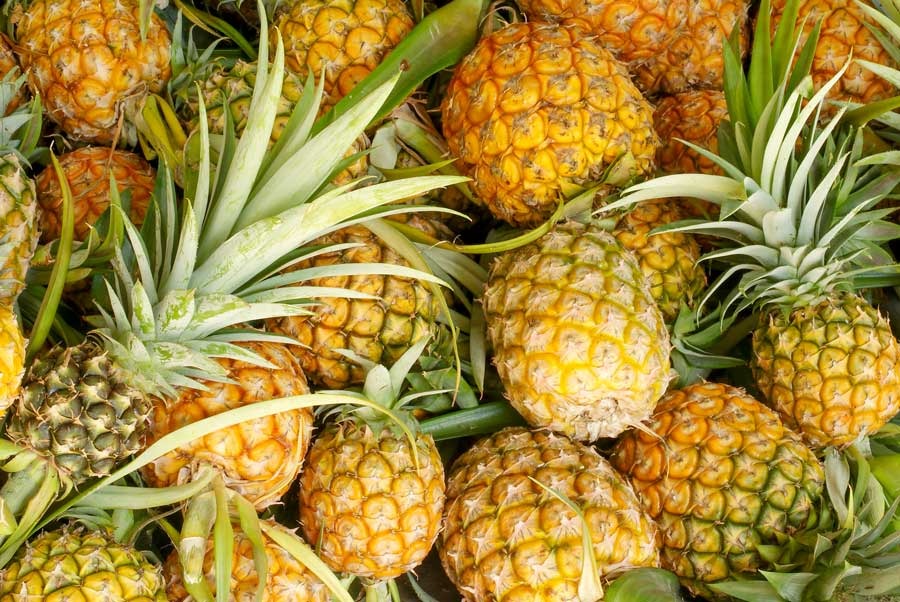 Buy Wholesale Fresh Pineapples In Tanzania - Image 2