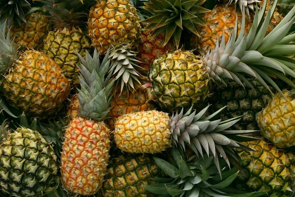 Buy Wholesale Fresh Pineapples