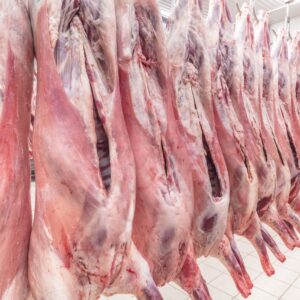 Buy Wholesale Lamb Meat Top Quality