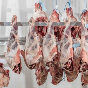 Buy Wholesale Lamb Meat Top Quality