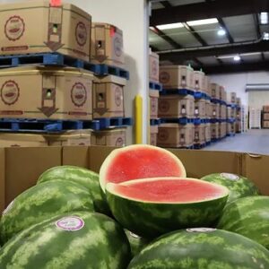 Buy Wholesale Watermelons In Dar es Salaam