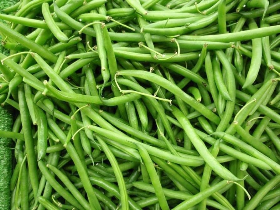 Buy Wholesale Green Beans