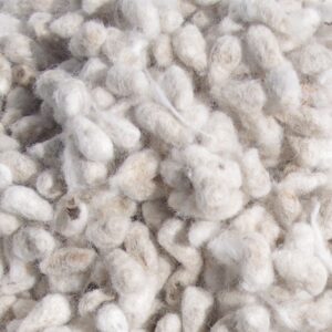 Buy Bulk Cotton Seed Online From East Africa