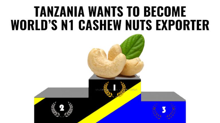 Cashew Nuts Price in Tanzania Today -Trusted Exporters