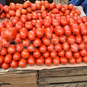 Buy Bulk Fresh Tomatoes Suppliers