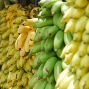 Buy Wholesale Bananas Online Africa