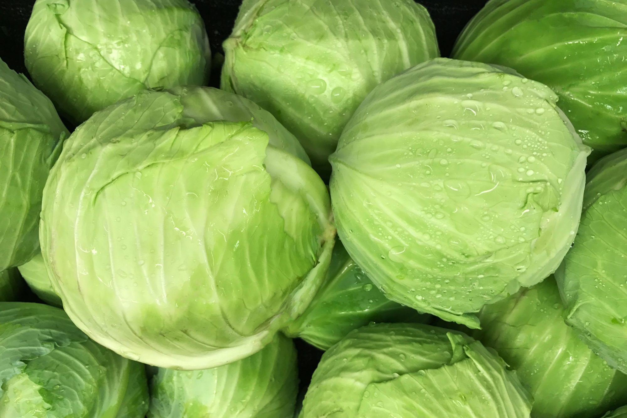 Buy Fresh Cabbage in Bulk - Image 3
