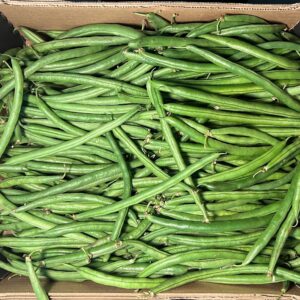 Buy Wholesale Green Beans (French beans)