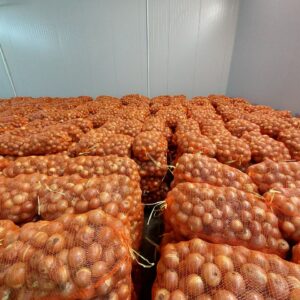 Buy Onions in Bulk Online